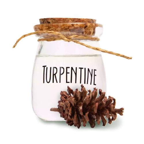 Gum Turpentine